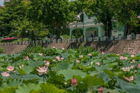 The Avenida da Praia is main venue of the Macao Lotus Flower Festival.