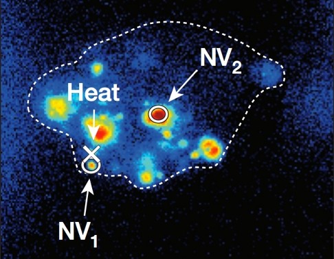 A nanothermometer takes a temperature reading inside a cell. Photo: SCMP Pictures