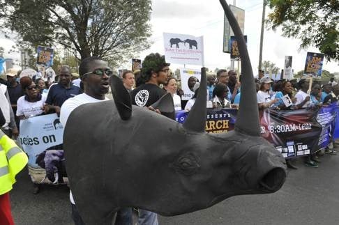 People rally in Nairobi as part of the Global March for Elephants and Rhinos demanding a halt to poaching of elephants and rhinos in Nairobi. Photo: AFP