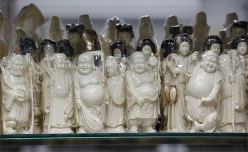 Ivory products are displayed inside a carving factory in Hong Kong. Photo: Reuters