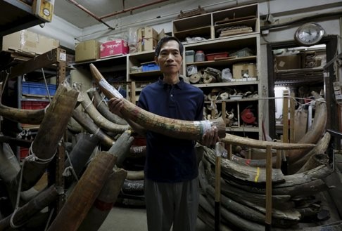 A worker at a carving and jewellery factory in Hong Kong poses with a registered elephant tusk. Some 25 years after the Cites ban came into effect, the poaching of elephants is still rampant. Photo: Reuters