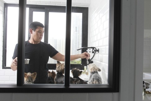 Harold Ho in the room he had constructed for his five Yorkshire terriers at his home in Conduit Road, Mid-Levels. Photo: May Tse