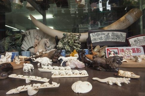 An elephant’s tusk and trinkets made out of ivory for sale in a shop on Hollywood Road in Central, Hong Kong. Photo: EPA
