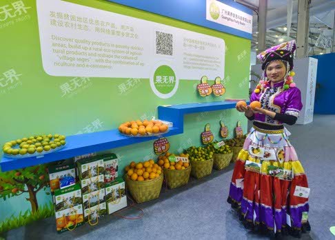 A woman in ethnic costume introduces her e-commerce company on agricultural products at the Light of the Internet Expo in Wuzhen Township, east China's Zhejiang Province on Tuesday. The expo is running as part of the 2nd World Internet Conference from Wednesday to Friday. Photo: Xinhua