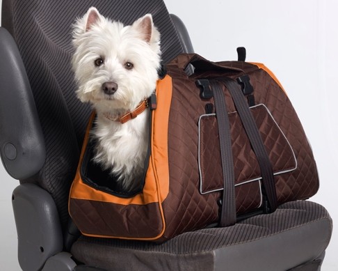 Among the carriers recommended for small dogs is the PetEgo Jet Set Forma Frame carrier