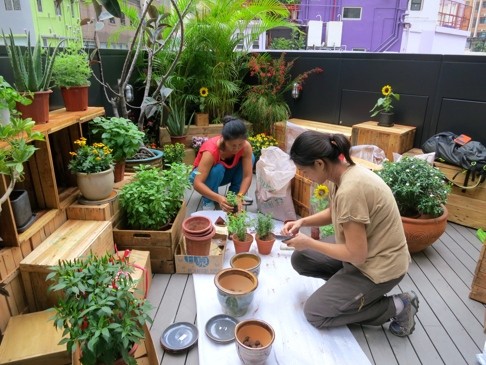 Growing Smart provides a private garden/rooftop design service which includes creating furniture made from recycled materials.