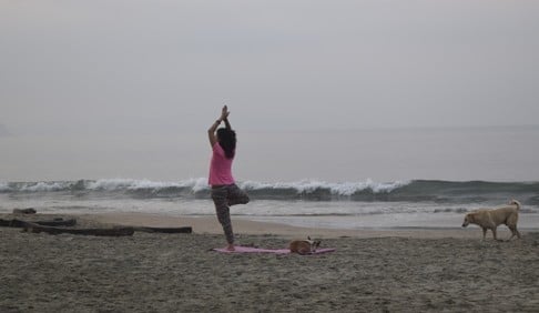 “Yoga douchebag” on Palolem Beach, Goa.