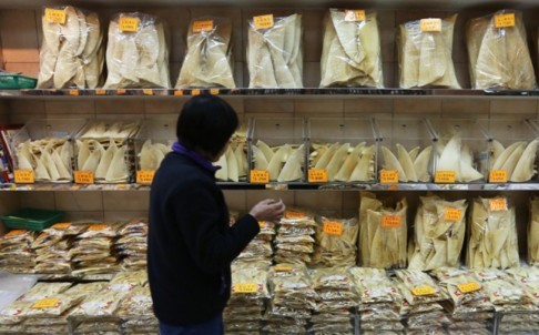 Alex Hofford, a wildlife campaigner from the local branch of WildAid, called on the public to say no to shark fin. Photo: SCMP Pictures