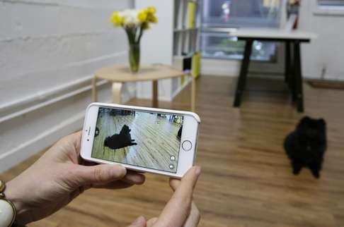 Yulia Zimmermann demonstrates using her phone to watch Pusher, a Pomeranian dog, with the interactive Wi-fi pet camera Petcube.