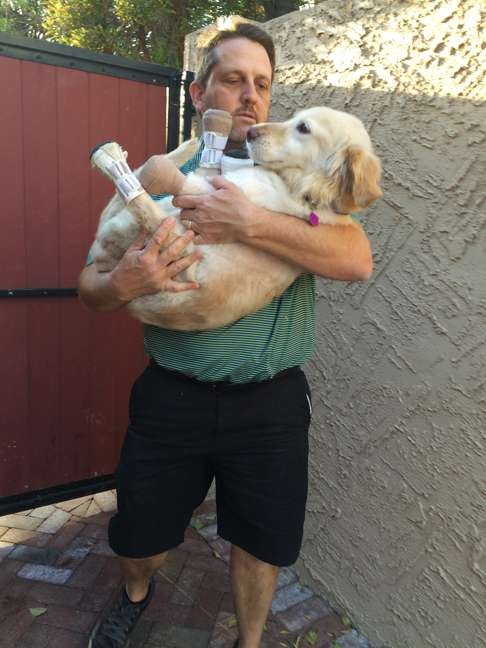 Richard Howell carries Chi Chi to her new home in Phoenix on Saturday. Photo: AFP