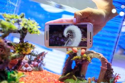 A worker holds a Moto G smartphone, manufactured by Lenovo Group, in a fish tank at the Mobile World Congress in Barcelona in February. Photo: Bloomberg