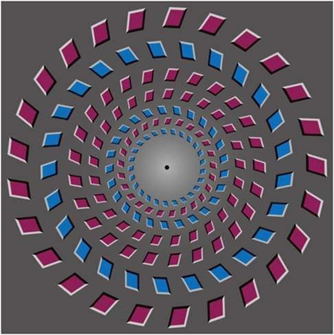 The Pinna illusion creates a rotating motion effect courtesy of two differently coloured concentric circles. If an observer were to move their head closer to, and then further away from, the image while gazing at the black dot, they should see the two circles rotating in opposite directions. Credit: Chinese Academy of Sciences