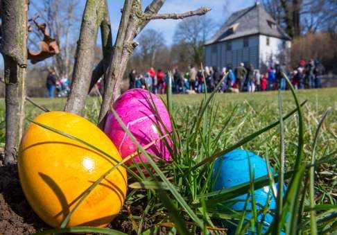 Real eggs lie in Ilmpark at Goethe's garden house for an Easter egg hunt in the manner of Goethe in in Weimar, Germany in this photo dated March 24, 2016. Photo: EPA