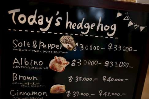A ‘menu’ board shows a selection of hedgehogs for sale – not to eat – at Harry. Photo: Reuters
