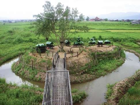 The island sanctuary for Burmese cats at Inle Lake, Myanmar