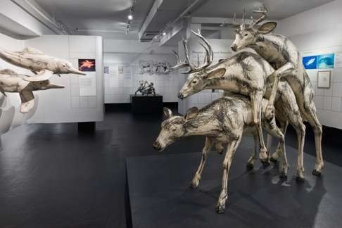 White-Tailed Deer Engage in Threesomes, an artwork displayed at the Museum of Sex.