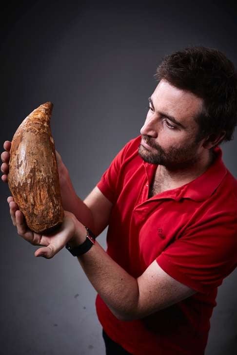 Erich Fitzgerald, a palaeontologist at Museum Victoria. Photo: AFP