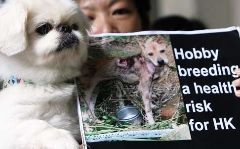 A protester and her pet demand an end to illegal dog breeding in Hong Kong. Photo: K.Y. Cheng