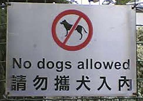 A common greeting for dogs and their owners across Hong Kong.
