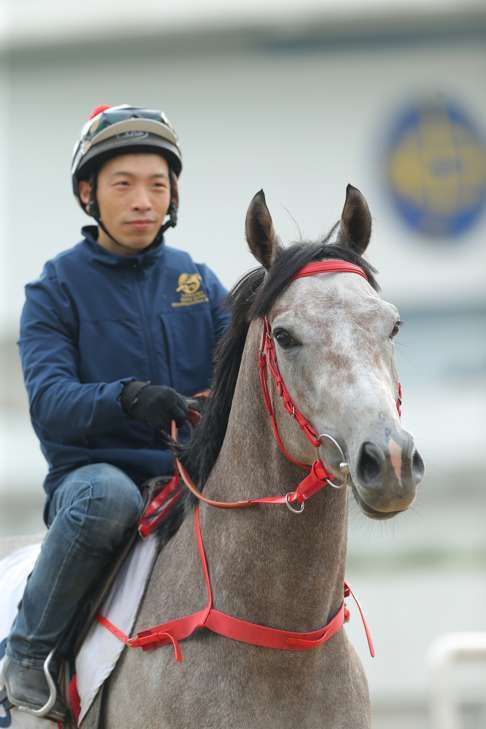 The Full Bloom caught the eye running on hard at his first Hong Kong start.