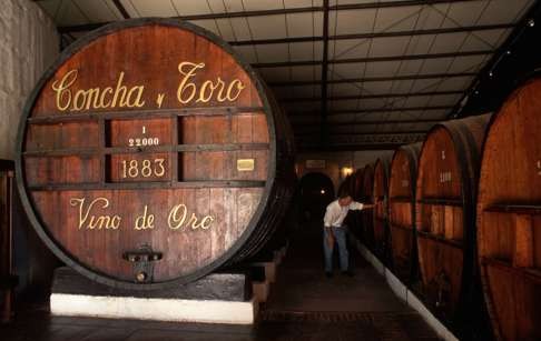 Concha y Toro is the largest wine producer in Chile. Photo: Corbis