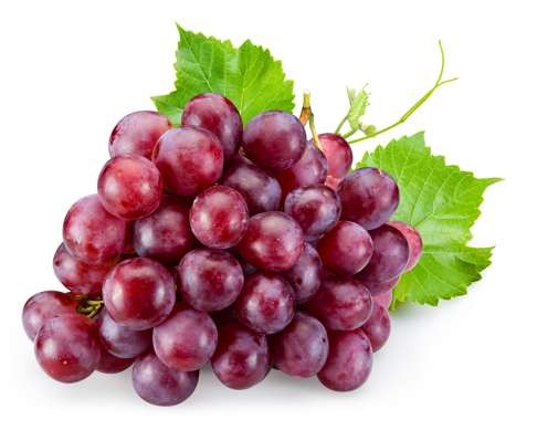 Red grapes contain a compound which, when paired with another in oranges, has beneficial effects for patients with obesity, heart disease or type 2 diabetes.