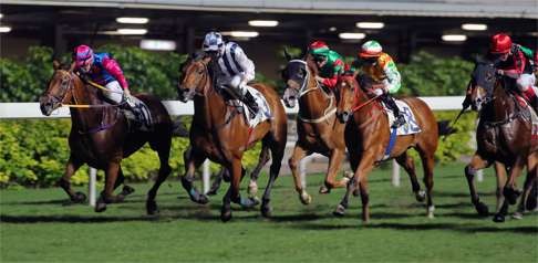 Giant Turtle (far right) ran a much improved race for third behind Rapid Triumph.