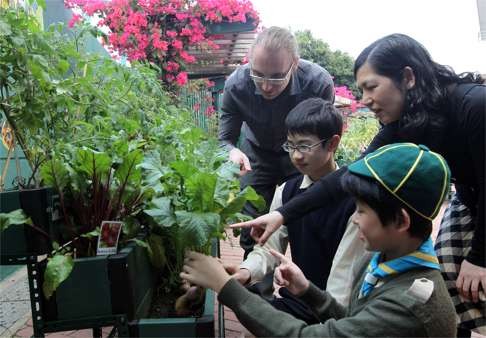 Children and teachers take part in a school garden project at Chiu Yang Por Yen School in Tin Shui Wai.
