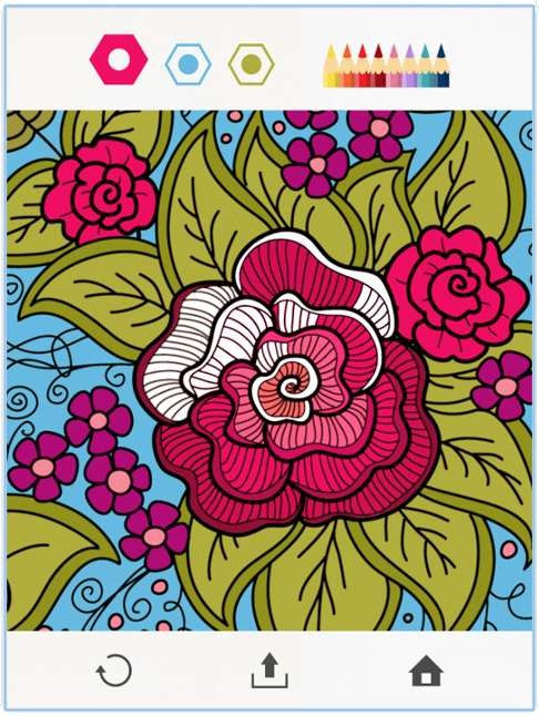 Colouring in a flower using Colorfy.