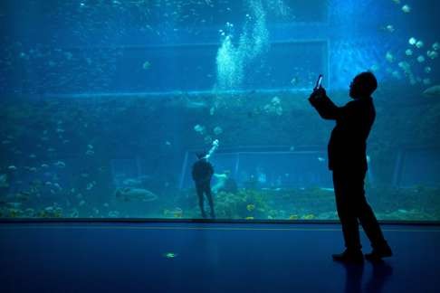A man takes a photo of marine life at an indoor ocean park aquarium at the Wanda Cultural Tourism City in Nanchang, Jiangxi province. By returning assets to the public and giving households the beginnings of household security, the government could help to boost domestic consumption. Photo: AP