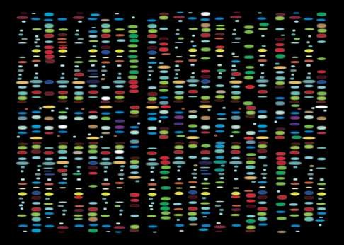A graphical representation of sequenced DNA, ready for analysis.