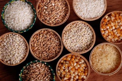 Whole grains like bran and quinoa contain multiple bioactive compounds that might contribute to their health benefits.