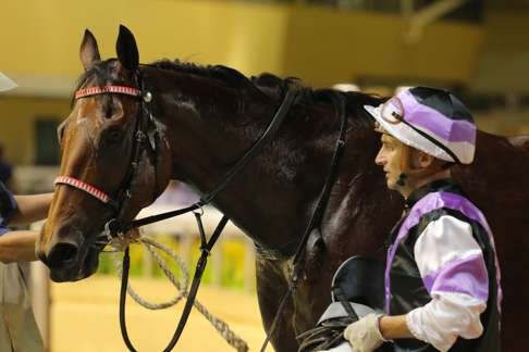 Opie Bosson admires Wonderful Fighter after a battling victory in the fifth event.