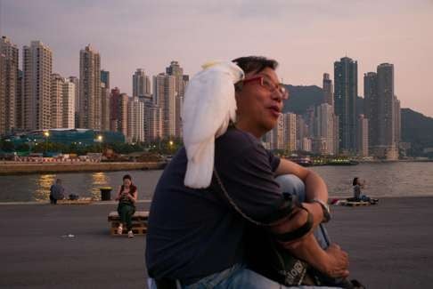 A man speaks to his pet cockatoo while watching the sunset on a pier in Hong Kong's Victoria Harbour. Photo: AFP