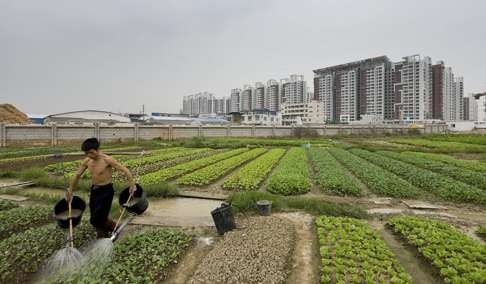 The Times Museum overlooks shrinking farmland in Guangzhou.