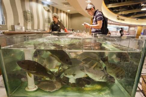 Live groupers, coral reef fish, are displayed in a fish tank at a supermarket in Hong Kong. According to data from the Food and Agriculture Organisation, Hong Kong people are the second-largest consumers of seafood per capita in Asia and the seventh largest in the world. Photo: EPA
