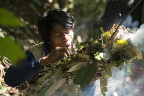 Abidin uses smoke from bundles of dry branches to calm the bees.