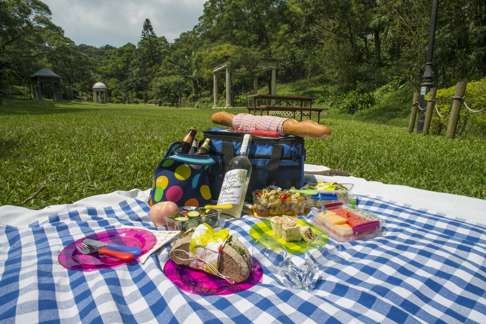 Have a picnic in Victoria Peak Garden.