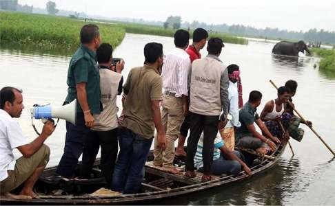 Bangladesh wildlife officials monitor the wild elephant earlier this month. Photo: AFP