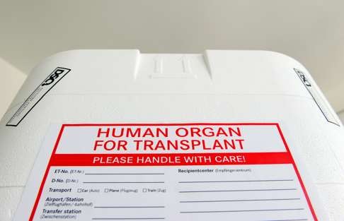 Chinese experts expect 4,000 organ transplant cases next year. Photo: Corbis