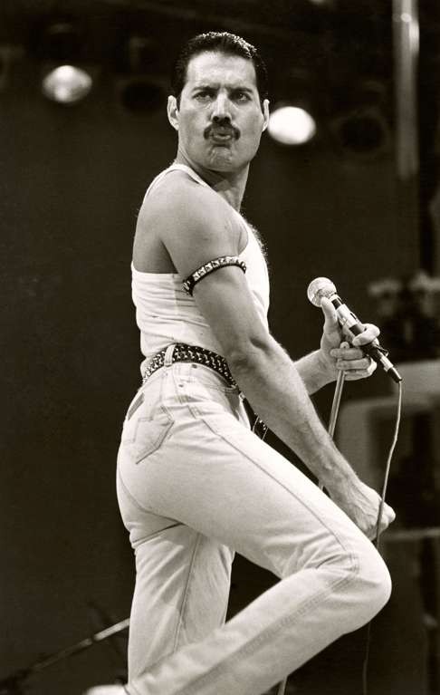 Freddie Mercury, the beloved frontman of Queen, died on November 24, 1991.