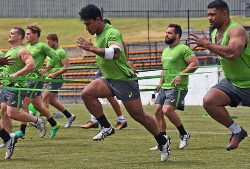 Australia players in a training session ahead of their clash with New Zealand in Auckland. Photo: AFP