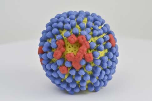 The influenza virus (yellow) is covered with proteins called hemagglutinin (blue) and neuraminidase (red) that enable the virus to enter and infect human cells. Photo: National Institutes of Health
