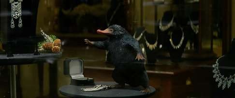 A Niffler in a scene from Fantastic Beasts and Where to Find Them.