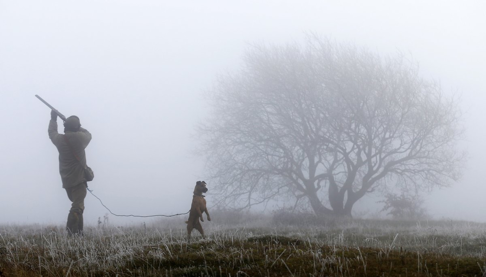 A man shoots at pheasants flying overhead during a pheasant hunt in Stokenchurch, southern England. Photo: Eddie Keog/REUTERS