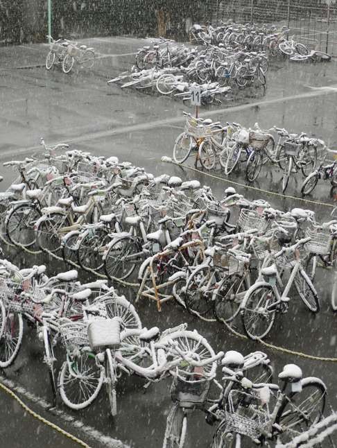 Snow accumulates on bicycles in Musashino, Tokyo. Photo: Kyodo