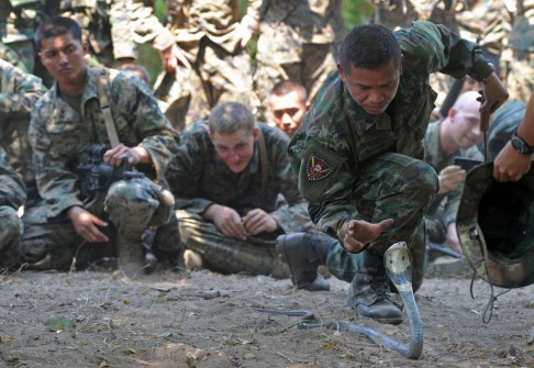 A Thai marine shows how to catch a cobra as US marines look on, during a jungle survival programme that was part of a joint military exercise in 2013. Photo: AFP