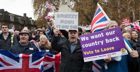 Demonstrators call for Britain to leave the European Union. Photo: EPA