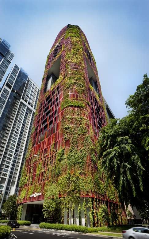 The entire Oasia Hotel Downtown is coated in greenery. Photo: Patrick Bingham-Hall