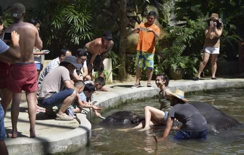 A Chinese tourist joins an elephant bathing session at Namuang Safari Park in Samui, Thailand. Photo: Simon Parry